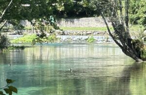 Foto scattata da Giorgio Pizzol Sorgente del fiume Livenza, detta Santissima. Sgorga dalla costa del monte. Si trova Polcenigo (PN).